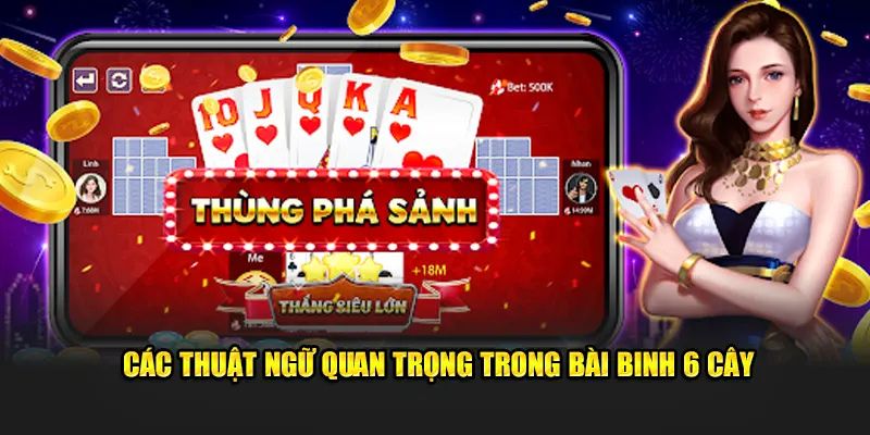 Các thuật ngữ quan trọng trong bài binh 6 cây