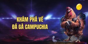 Đá Gà Campuchia – Trải Nghiệm Trọn Vẹn Tại Nhà Cái KO66