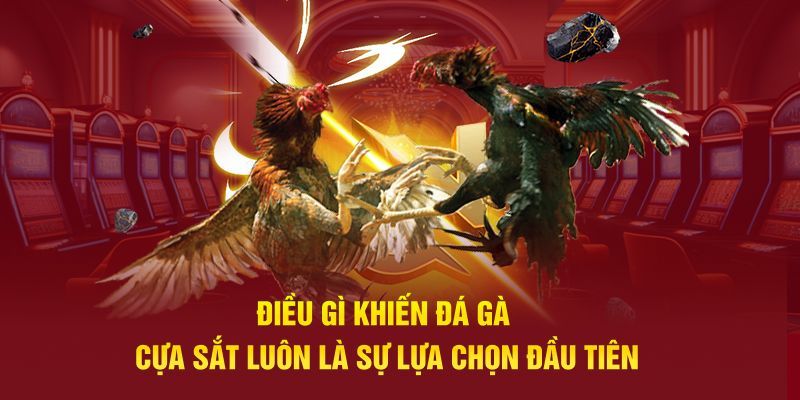 Điều gì khiến đá gà cựa sắt luôn là sự lựa chọn đầu tiên