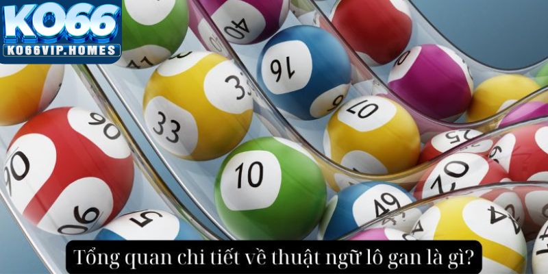 Khám phá chi tiết về thuật ngữ lô gan là gì?